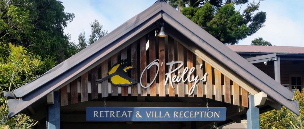 Oreillys Rainforest Retreat09